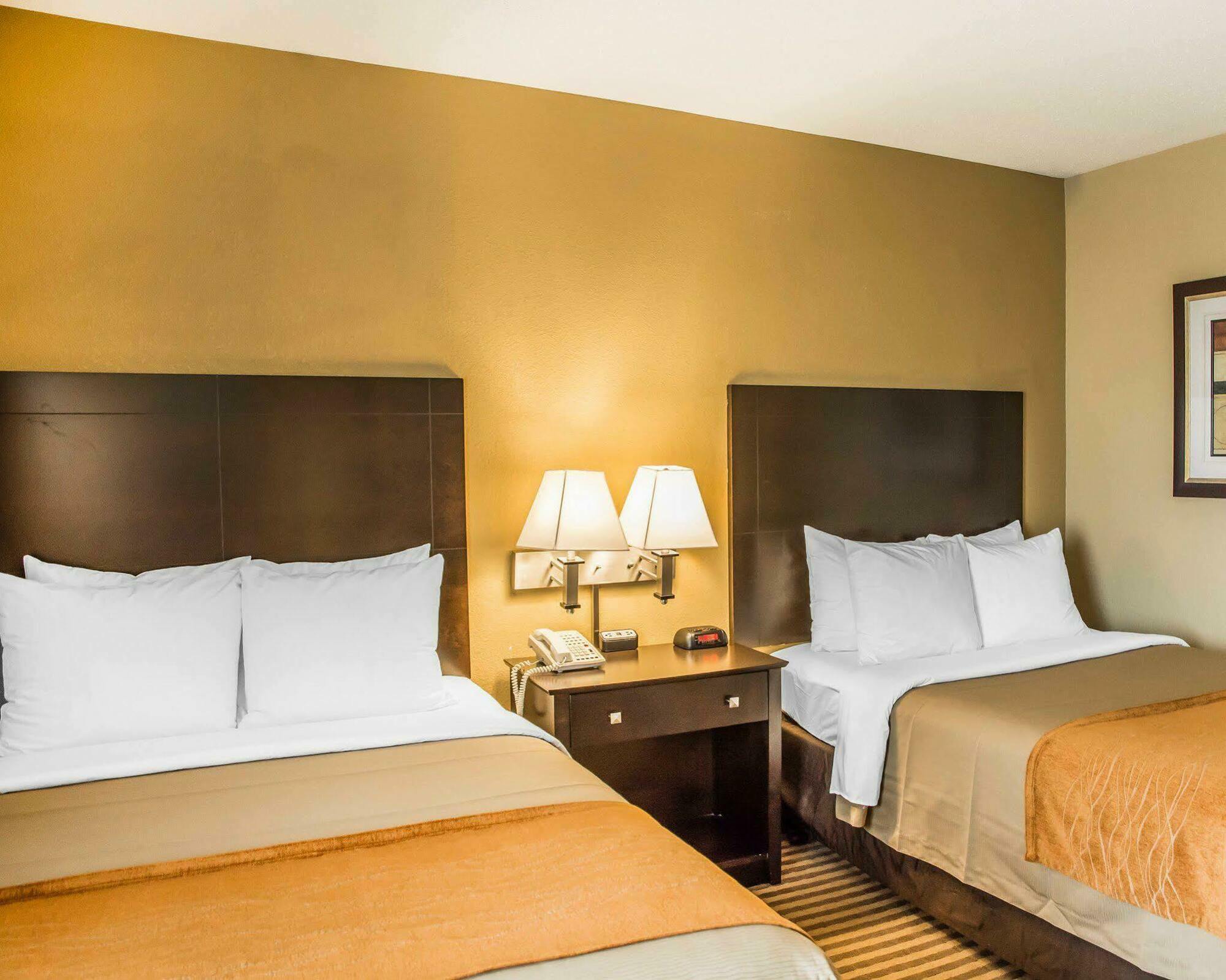 Comfort Inn Airport Turfway Road Florence Exterior foto